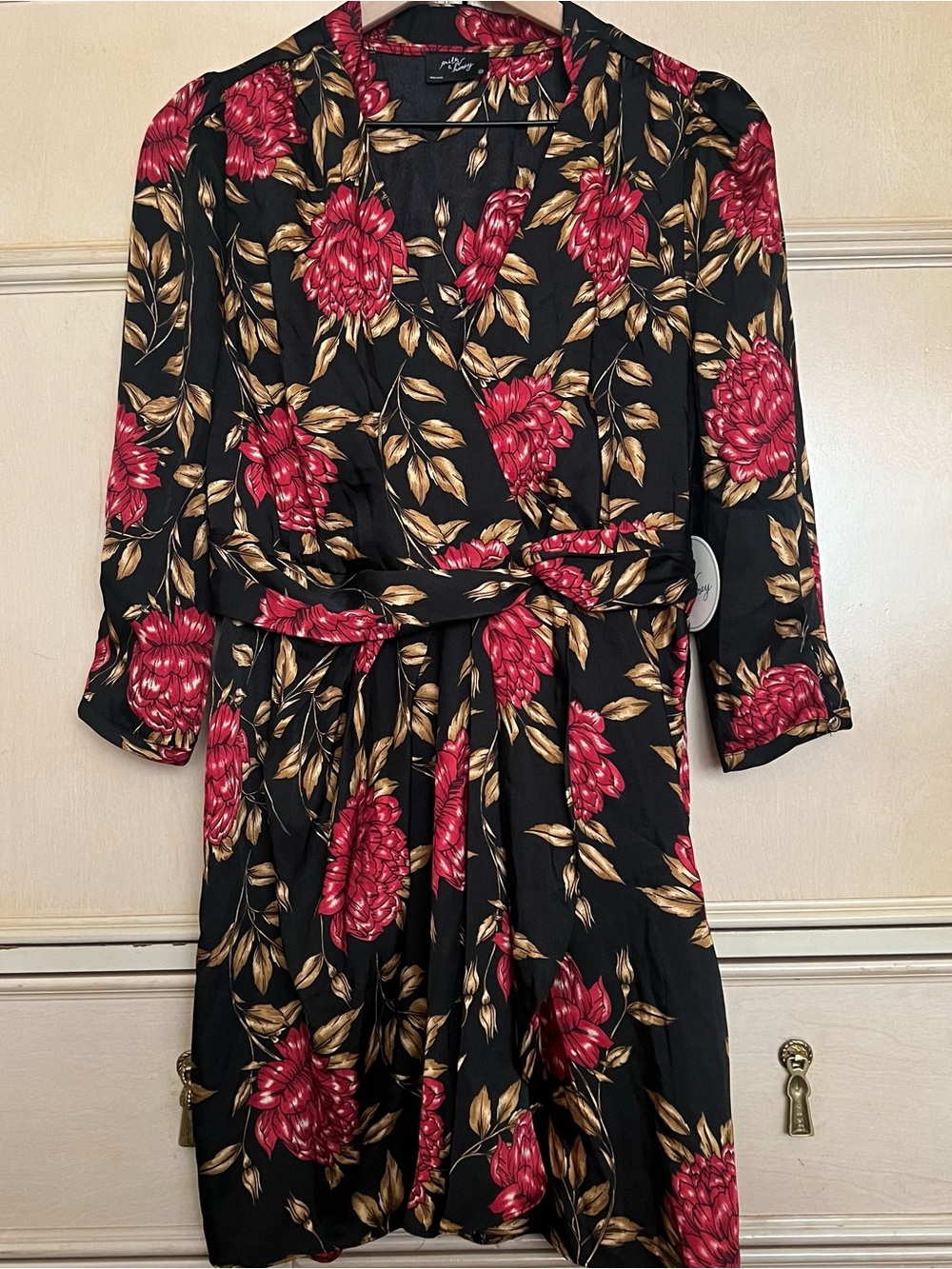 Floral Tie-Waist Mini Dress in Black and Red Floral